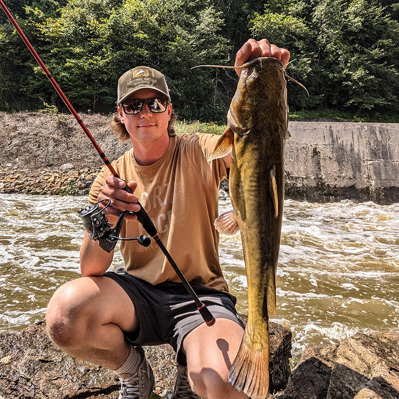 PISCIFUN® Carbon X Spinning Reel Sale